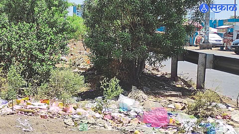 Garbage dump under the flyover