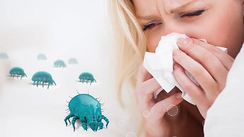 Allergic Cold Symptoms