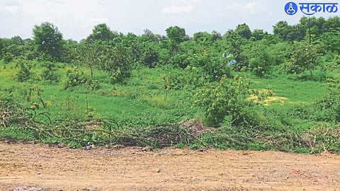 Vasundhara Park is in a state of disrepair due to overgrowth of grass.