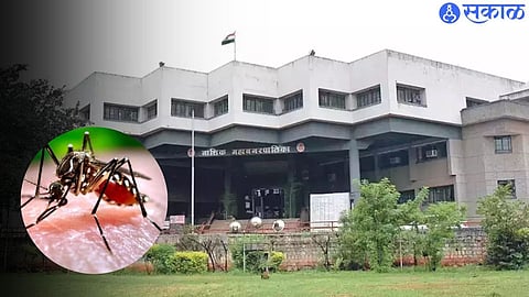 Nashik Dengue Update