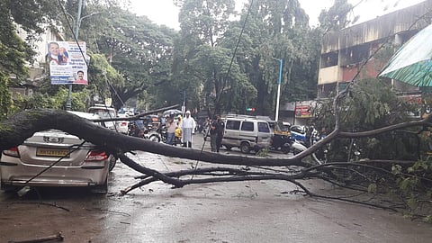 Araneshwar Rasta Tree Collapse by Rain