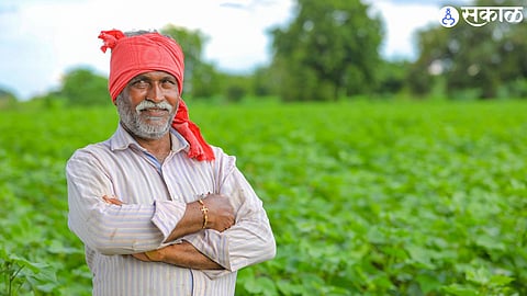 शेतकऱ्यांसाठी पीकविम्याचे ७१ कोटी