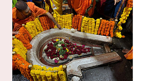 shri kshetra bhimashankar
