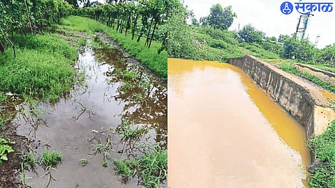 Palkhed Dawa Canal overflowing with Duthdi near No. 21 Chari. water from the canal seeps into the field.