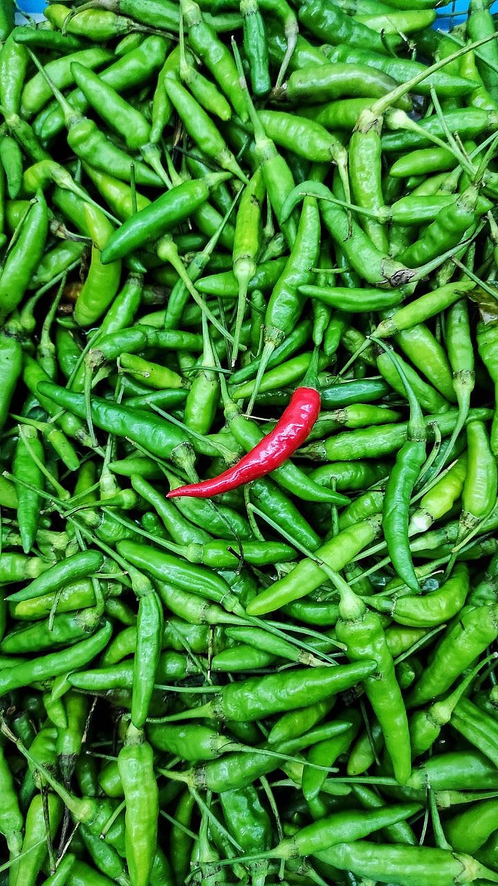 लाल की हिरवी? जेवणात कोणती मिरची वापरणं जास्त चांगलं? | Red chilli vs ...