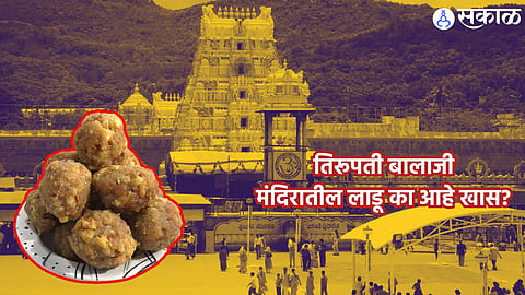 Tirupati Balaji Temple  : तिरूपती बालाजी मंदिरातील लाडू कसा बनतो? ५० कोटी रुपयांच्या मशीनमध्ये काय आहे असं खास