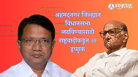 अहमदनगर जिल्ह्यात विधानसभा लढविण्यासाठी राष्ट्रवादीकडून २१ इच्छुक
