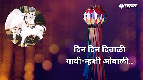 Vasubaras 2024 Wishes: