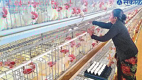 A woman farmer managing an egg production shed here.