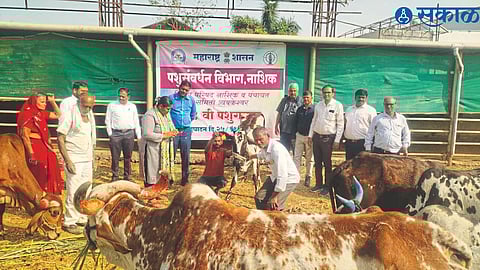 Regional Joint Commissioner of Animal Husbandry Dr. B. R. Narwade, Deputy Commissioner Dr. Prashant Dharmadhikari, District Animal Husbandry Officer Santosh Shinde, Livestock Development Officer Dr. Yogesh Mehre.