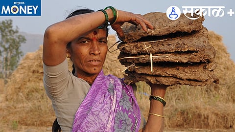 लाडकी बहीण योजनेचा खरंच महिलांना फायदा होतोय का?