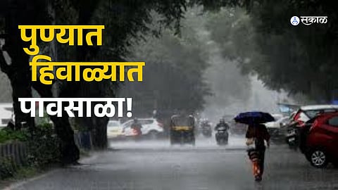 Pune experiences unexpected rain in winter due to Cyclone 'Fengal'.