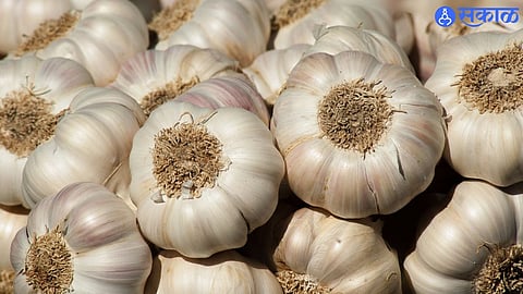 Garlic Price Hike