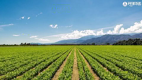 BARC introduces eight new crop varieties 