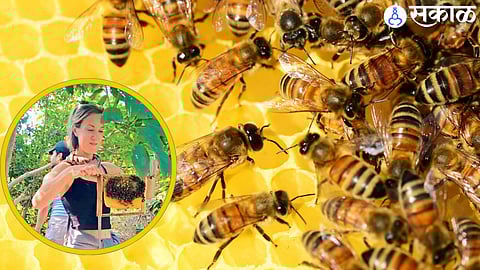 Andharwadi transforming honey village 