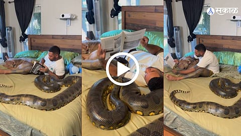  man sleep anaconda snake video