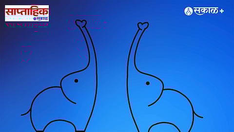 Elephant Genes african and indian 