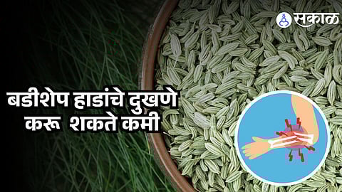 Fennel Seeds: