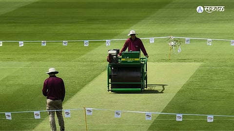 Gabba pitch