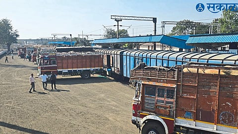 Lasalgaon to Kashmir Mecca for Poultry export