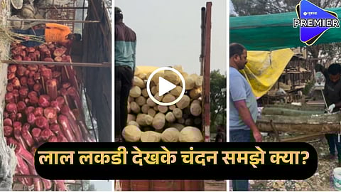 pushpa 2 real sandalwood 