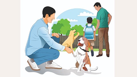 dog lovers