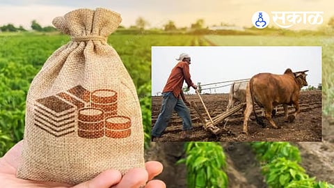 Crop Loans