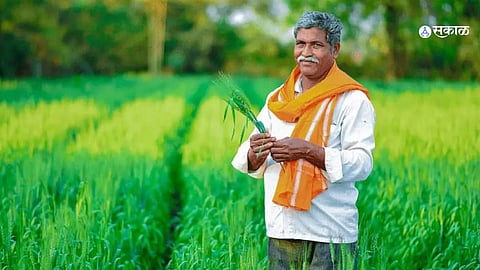 PM Kisan Samman Scheme