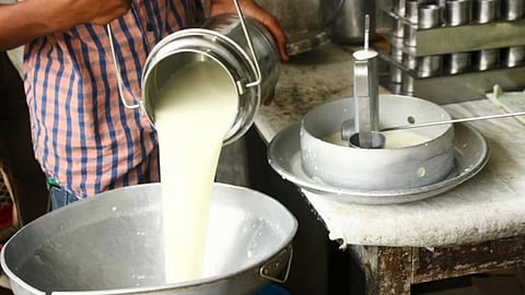 Milk Producer Farmer