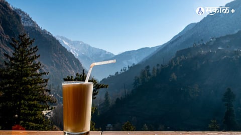 himachal pradesh
