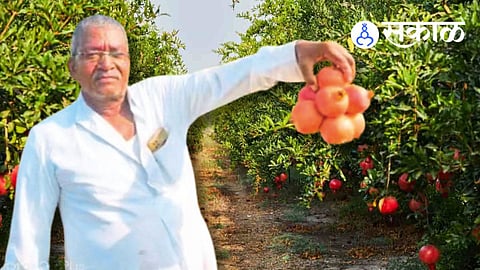 Farmer Narayan Chavan-Patil Success Story