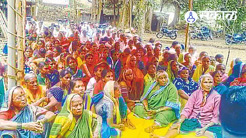 Chandoli Sanctuary Residents