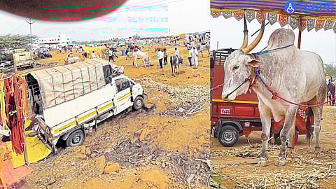 Vibrant business at Kharsundi fair, with transactions worth 7 crore in just four days