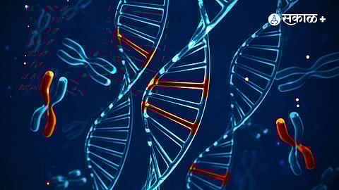 Genome Sequences India, Health, Citizen Health, Modi Governmen