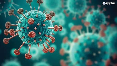 Human Metapneumovirus 