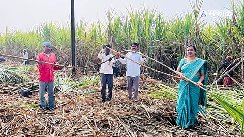 Farmer Success Story