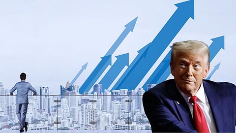 donald trump and share market