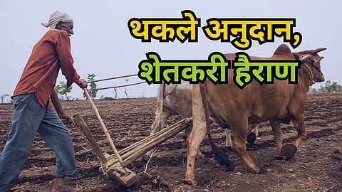 Agricultural Schemes