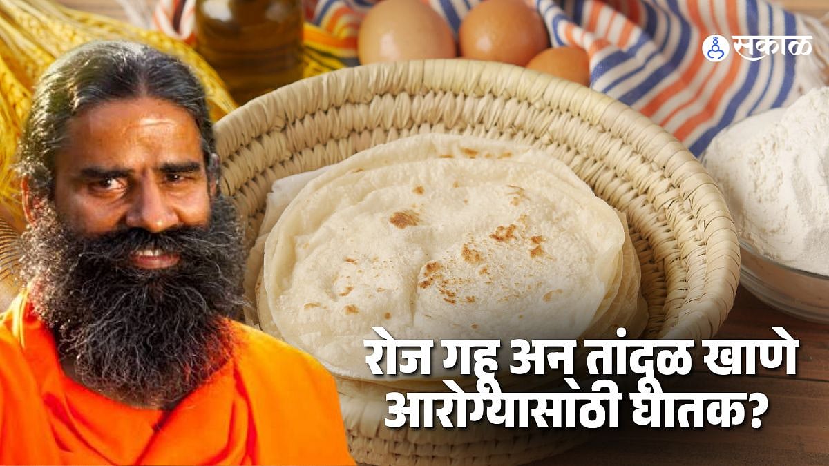 रोज गहू अन् तांदूळ खाणे आरोग्यासाठी घातक? रामदेवांनी सांगितले कारण Is ...