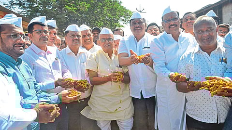 Vasantdada Market Yard Sangli 