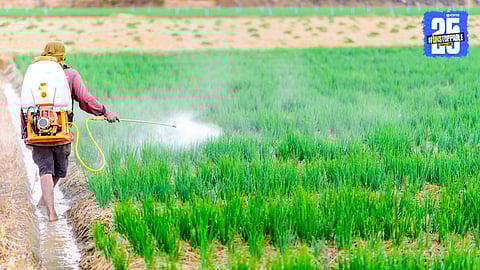 Maharashtra Agriculture 