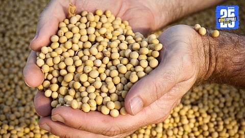 Soybean Procurement