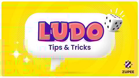 LUDO ZUPEE