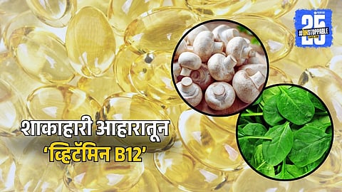 Vegetarian Sources of Vitamin B12