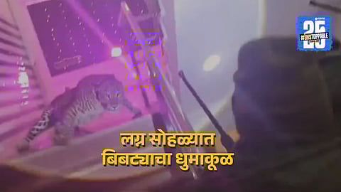 लग्नात घुसला बिबट्या, रेस्क्यु पथकाची रायफल तोंडाने ओढून पोलिसावर घातली झडप; भीतीने पाहुण्यानं छतावरून उडी मारली