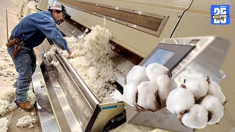 Cotton Productivity