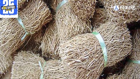 Vala (wheat straw) being used as a natural shield against the sun's harsh rays, keeping the body cool and hydrated.