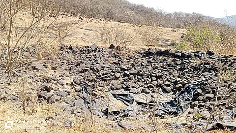 वाडा येथील वनविभागाच्या 
हद्दीतील पाणवठे कोरडे