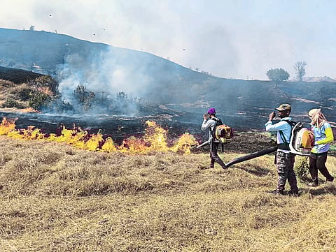 वन कर्मचारी ‘ऑन फायर’