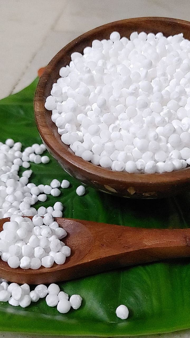 साबुदाणा कसा तयार होतो?